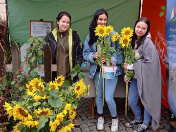 44. Święto Kwiatów, Owoców i Warzyw - w optymistycznym kolorze, 